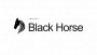 Black Horse project